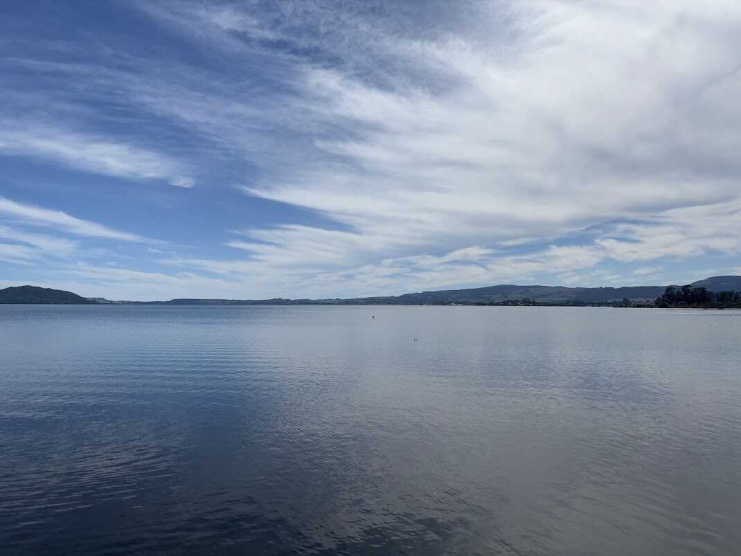 rotorua lake